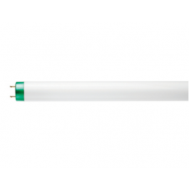 Philips 281550 F32T8 TL841 ALTO Compact Fluorescent Lamp