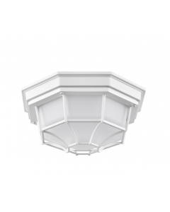 Nuvo 62-1399 LED Spider Cage Fixture; White Finish with Frosted Glass