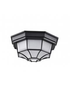 Nuvo 62-1400 LED Spider Cage Fixture; Black Finish with Frosted Glass