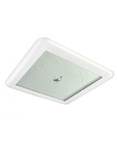 LSI Hazardous Location LED Canopy Light - LEGACY (CRU) - CRU-SC-LED-SS-CW-UE-WHT