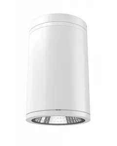 RAB Lighting CD34FA6SP-30-709-WC - 30W - 27K/30K/35K/40K/50K - White - 120V